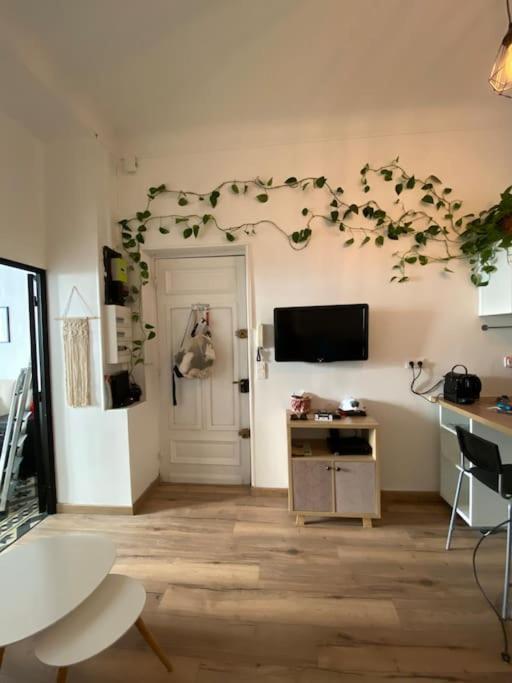 מנטון Appartement Proche Plages - Parking Gratuit מראה חיצוני תמונה